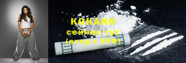 индика Зеленокумск