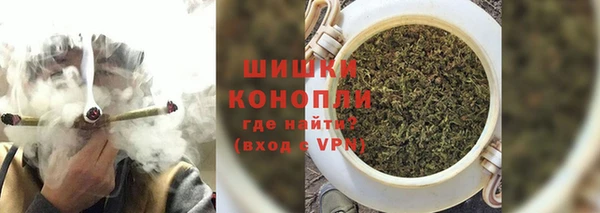 индика Зеленокумск