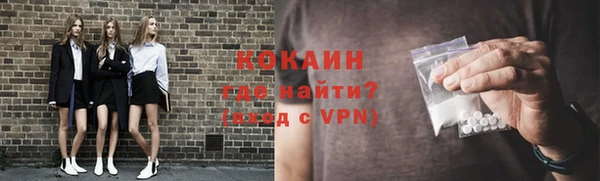 индика Зеленокумск