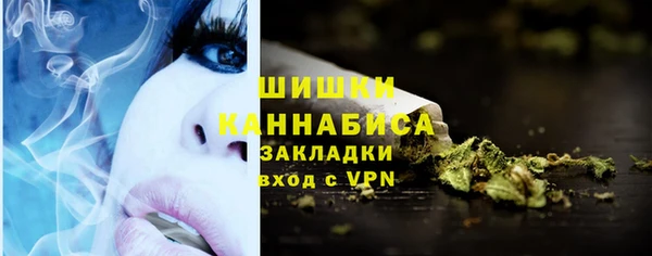 индика Зеленокумск