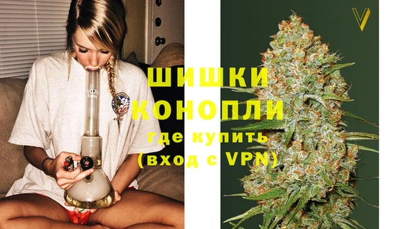 индика Зеленокумск