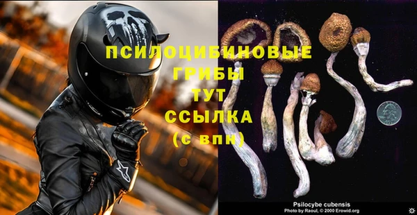 индика Зеленокумск
