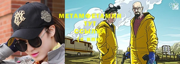 индика Зеленокумск
