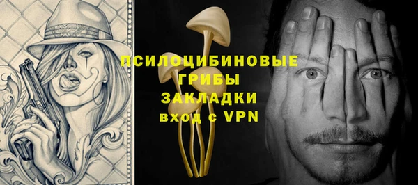 apvp Зеленодольск