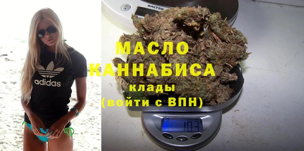 индика Зеленокумск