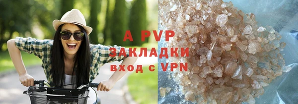 индика Зеленокумск