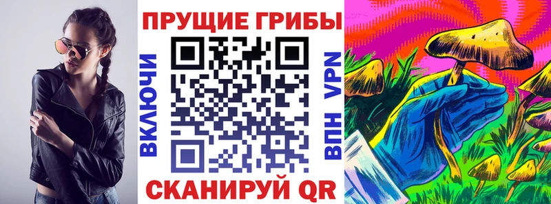 Галлюциногенные грибы мицелий  Купить где  Чебаркуль 